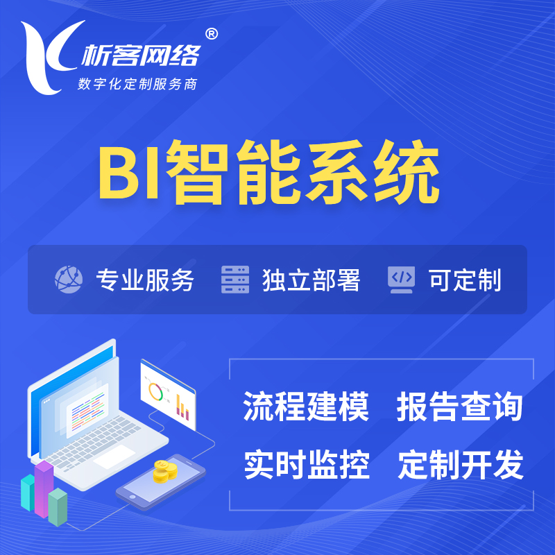 潮州BI智能系统 | BI数据可视化